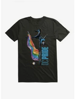 DC Comics Batman Nightwing Pride T-Shirt
